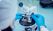 Apice Pharma