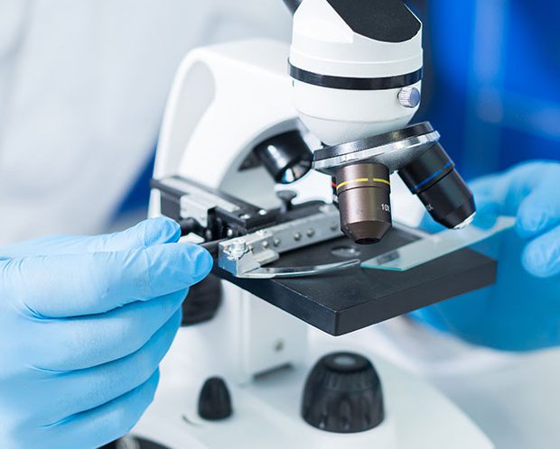 Apice Pharma