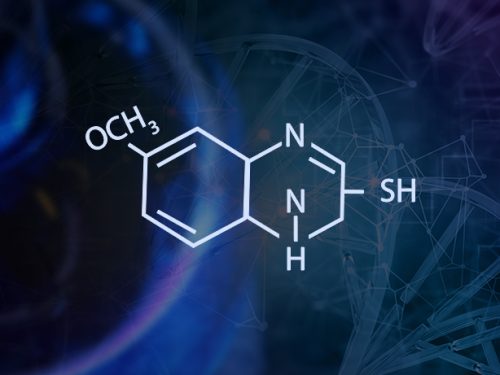 2--5-Methoxy-2-Mercapto-Benzidazole