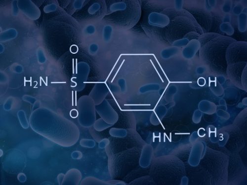 4_hydroxy_3_amino_be_qNSOt
